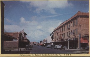 Street View of Punta Gorda Post Card