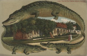 Alligator Borders Post Card of Old Ft. Dallas, Miami