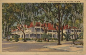 The White House Postcard Gainesville